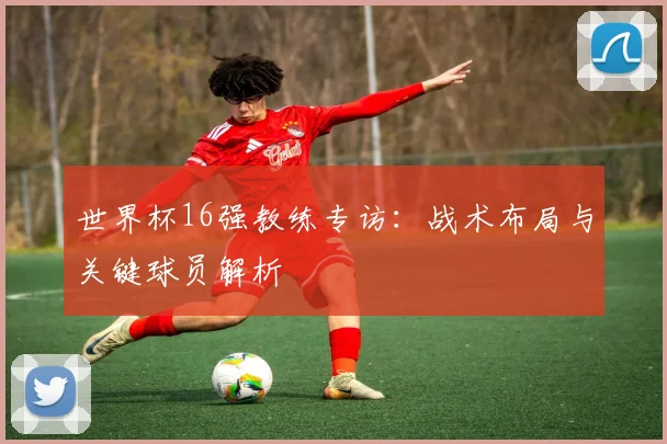 世界杯16强教练专访:战术布局与关键球员解析