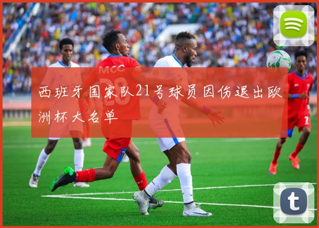 西班牙国家队21号球员因伤退出欧洲杯大名单