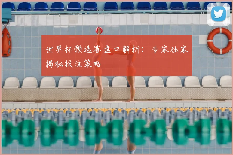 世界杯预选赛盘口解析:专家独家揭秘投注策略
