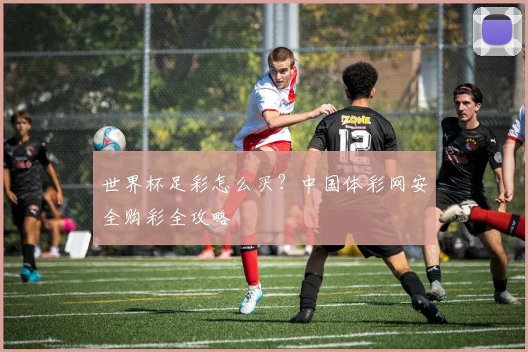 世界杯足彩怎么买?中国体彩网安全购彩全攻略