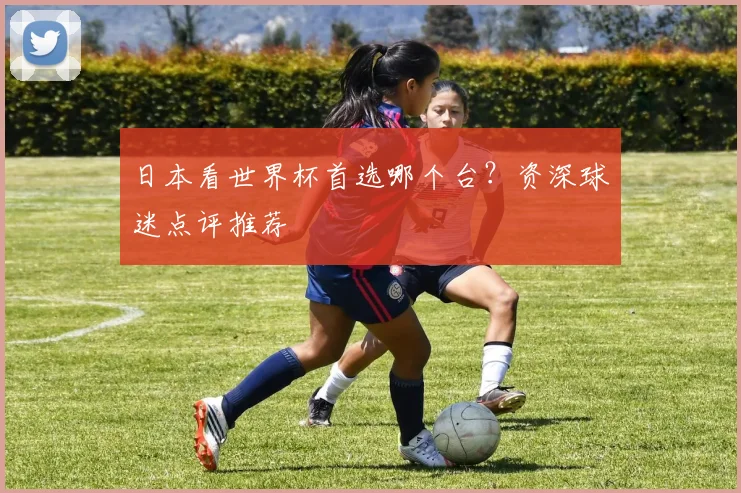 日本看世界杯首选哪个台？资深球迷点评推荐